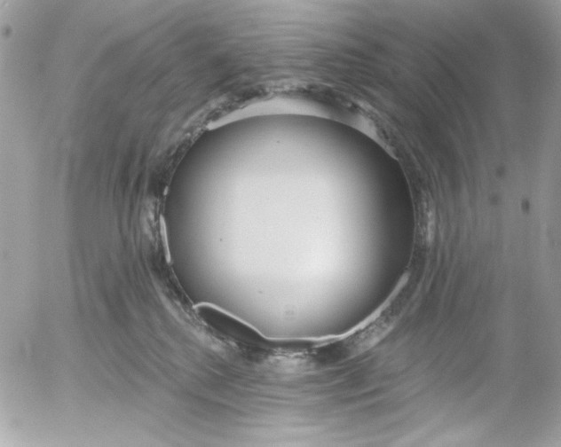 X0000052540280200507221433