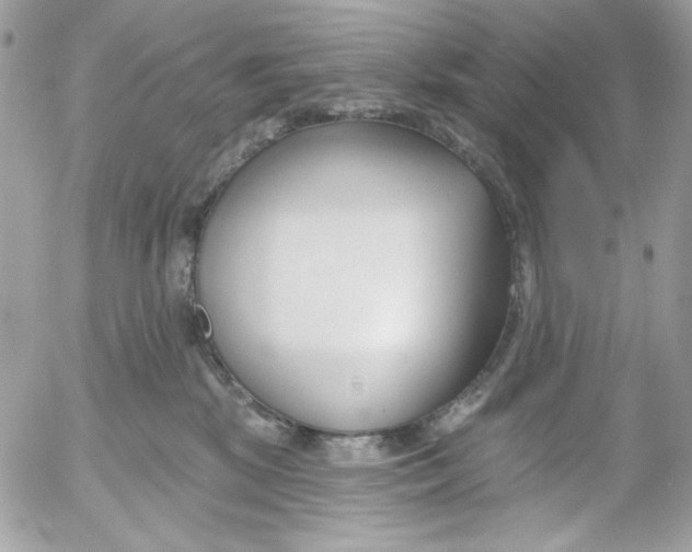 X0000052540281200507221433