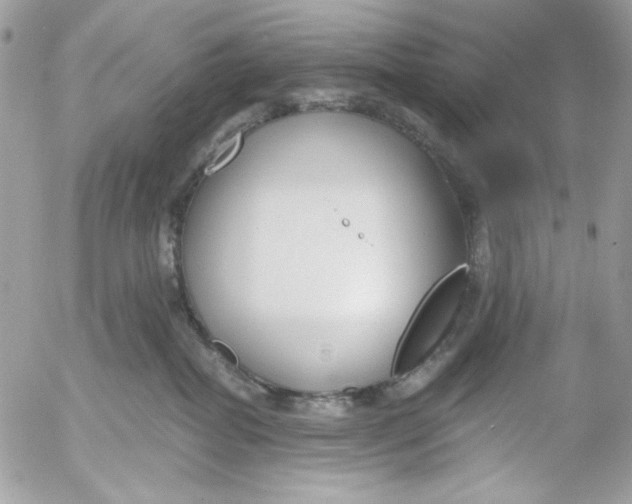 X0000052540282200507221433