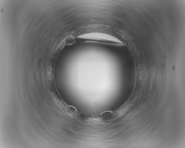 X0000052540283200507221433