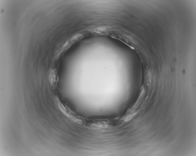 X0000052540284200507221433