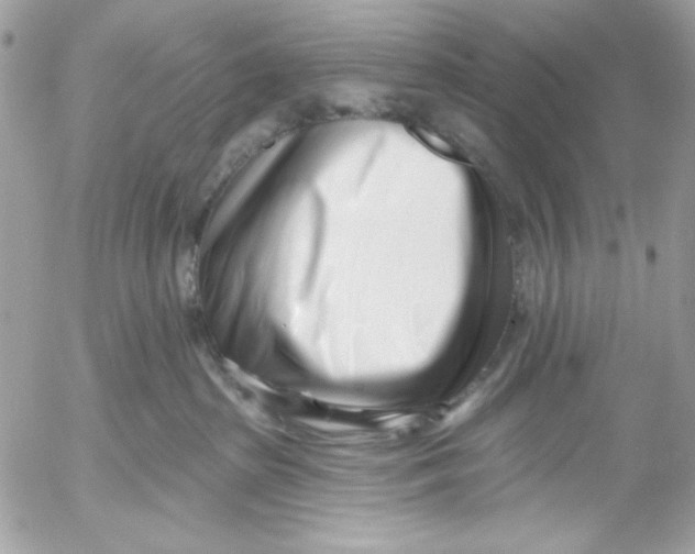 X0000052540285200507221433