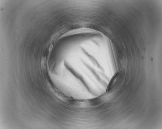 X0000052540286200507221433