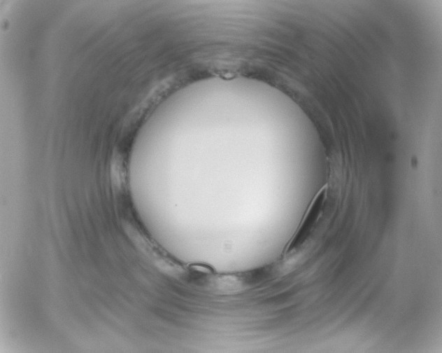 X0000052540287200507221433