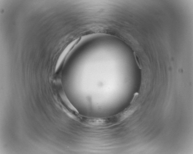 X0000052540288200507221433