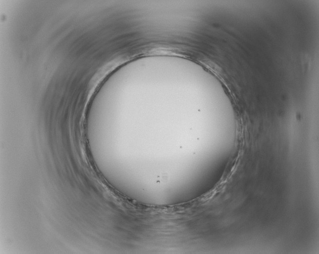 X0000052540289200507221433