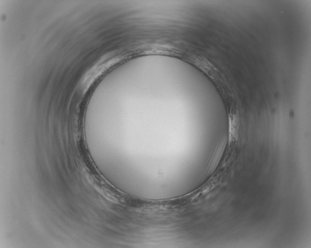 X0000052540291200507221433