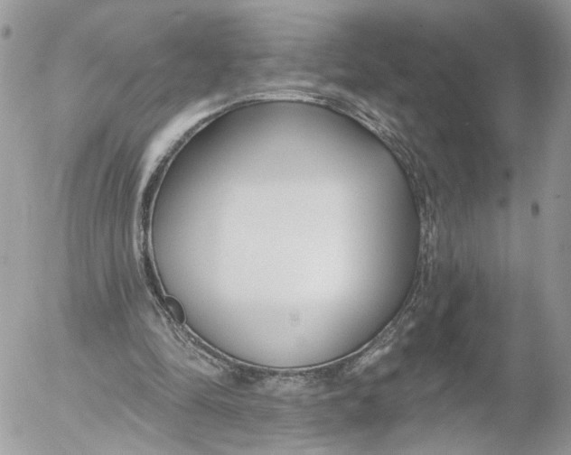 X0000052540294200507221432