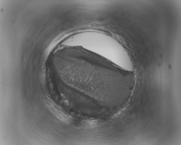 X0000052540295200507221432