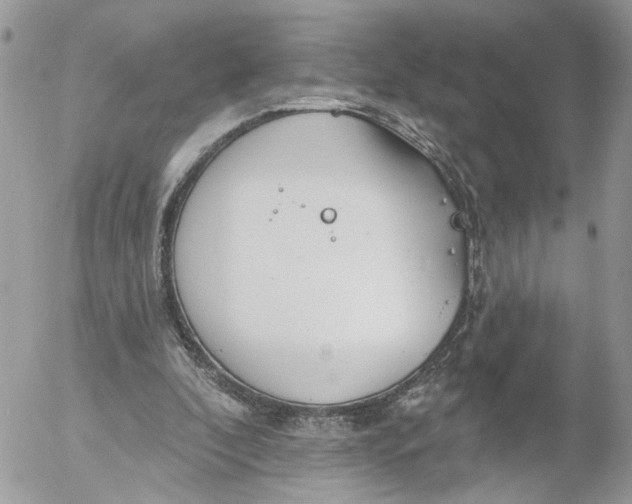 X0000052540296200507221432