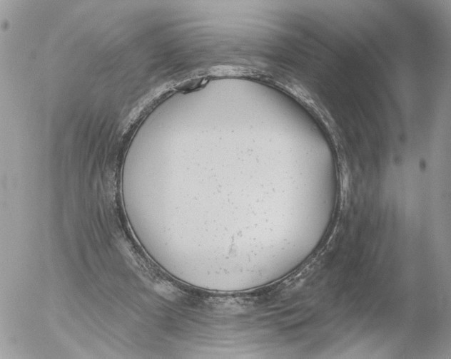 X0000052540297200507221432