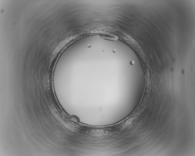 X0000052540298200507221432