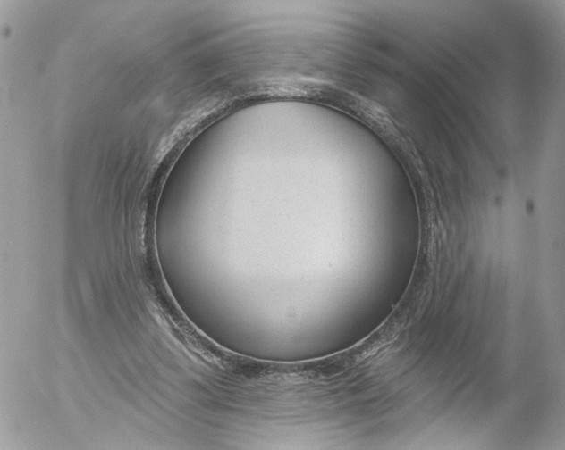 X0000052540299200507221432