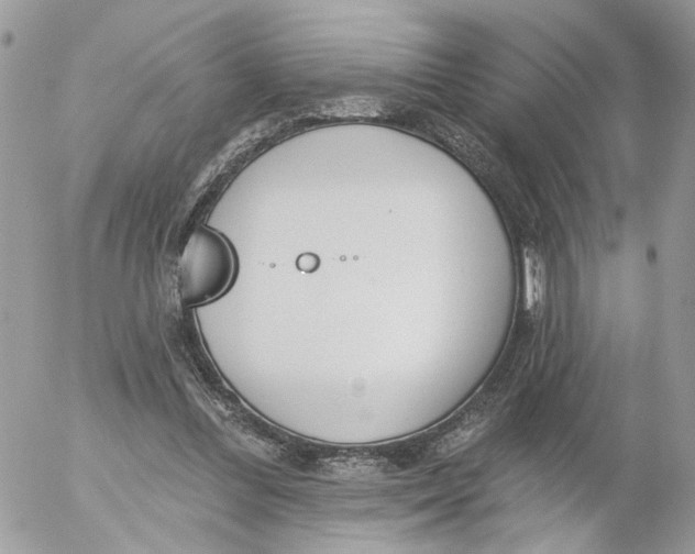 X0000052540300200507221432