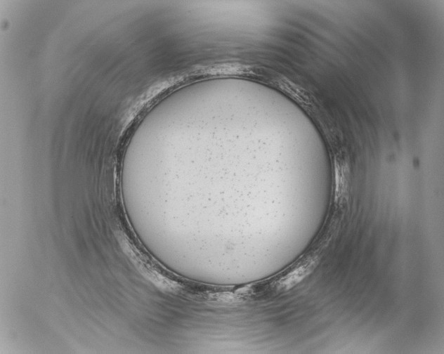 X0000052540301200507221432