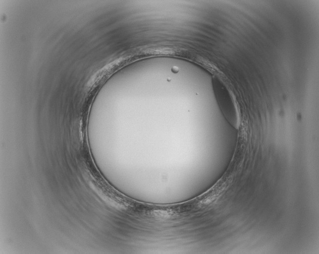 X0000052540302200507221432