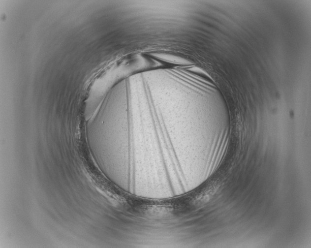 X0000052540303200507221432