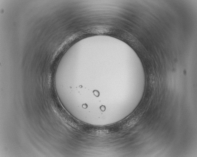 X0000052540304200507221432