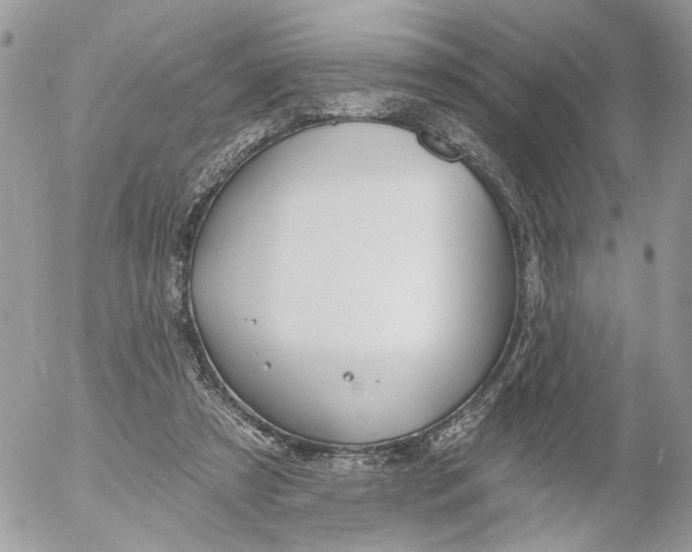 X0000052540305200507221432