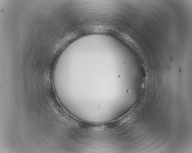 X0000052540306200507221432