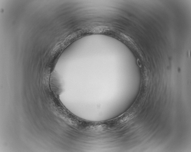 X0000052540307200507221432