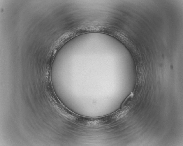 X0000052540309200507221432