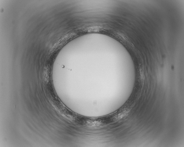 X0000052540311200507221432