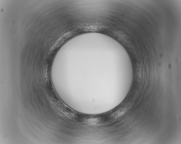 X0000052540312200507221432