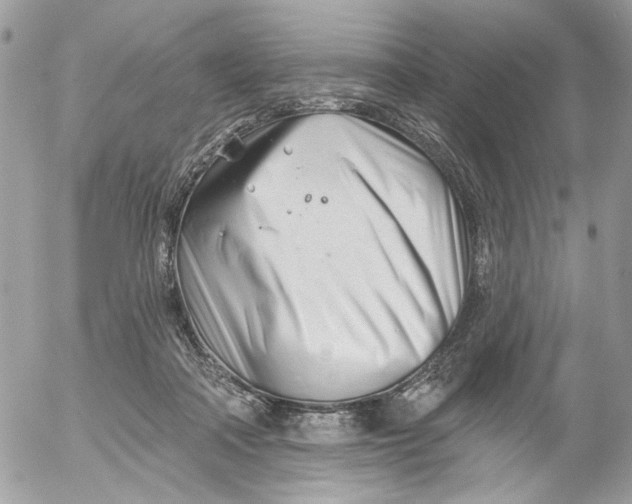 X0000052540314200507221432