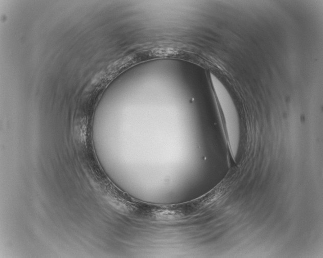 X0000052540315200507221432