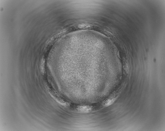 X0000052540319200507221432