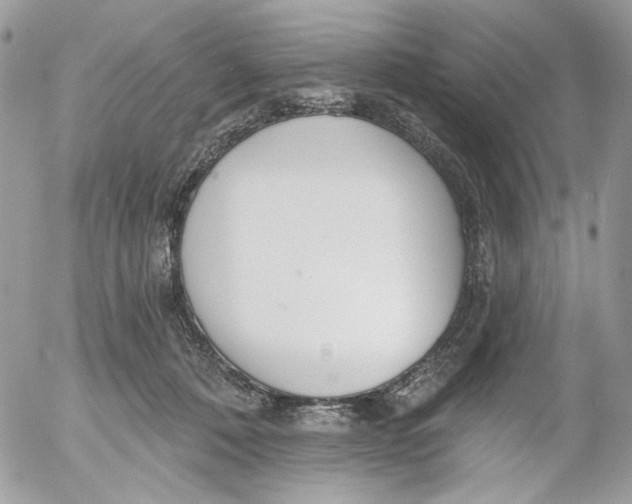 X0000052540320200507221432