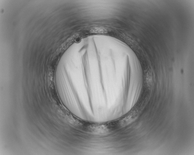 X0000052540322200507221432