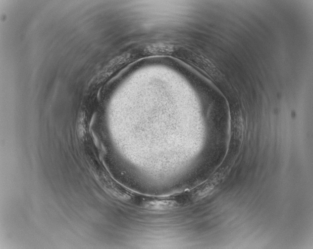 X0000052540323200507221432