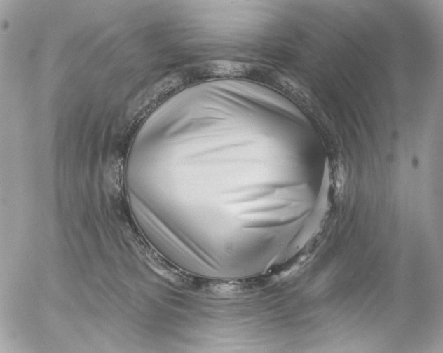 X0000052540325200507221432