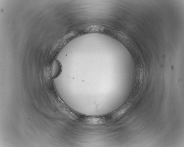 X0000052540326200507221432