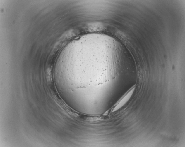 X0000052540327200507221432