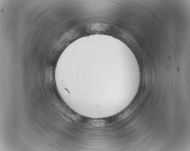 X0000052540328200507221432