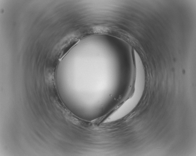 X0000052540329200507221432