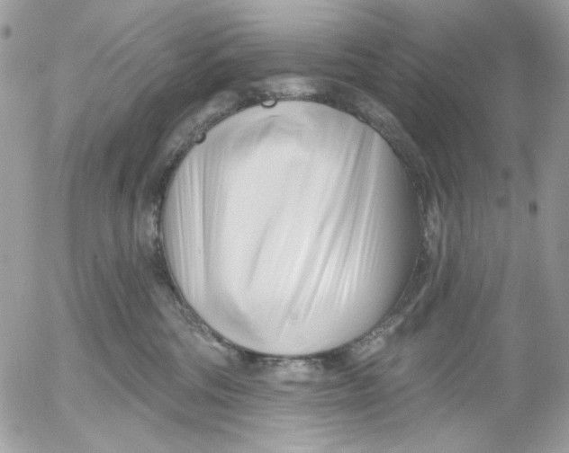 X0000052540330200507221432