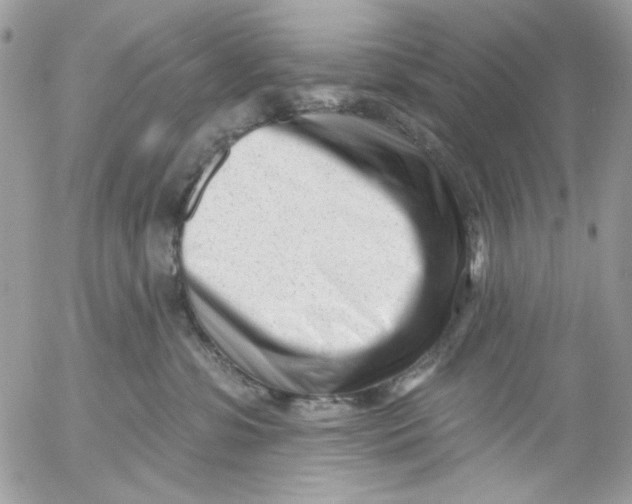 X0000052540331200507221432