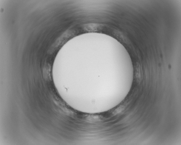 X0000052540332200507221432