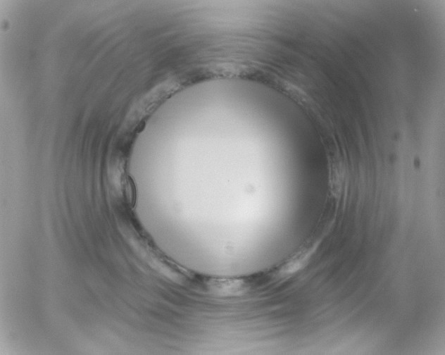 X0000052540334200507221432