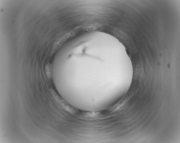 X0000052540335200507221432