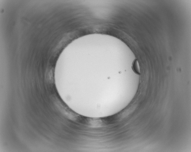 X0000052540336200507221432