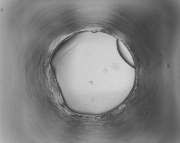 X0000052540337200507221431