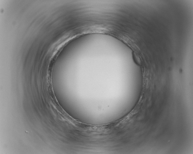 X0000052540338200507221431