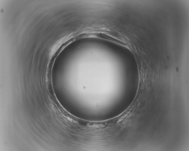 X0000052540340200507221431