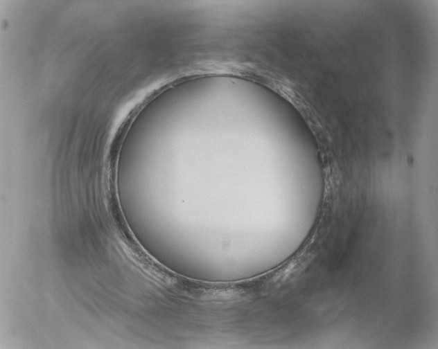 X0000052540342200507221431