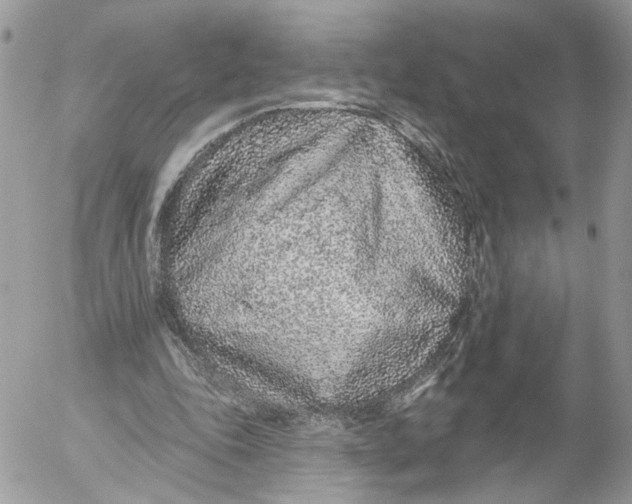 X0000052540343200507221431